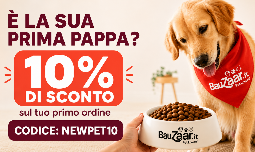bauzaar.mom