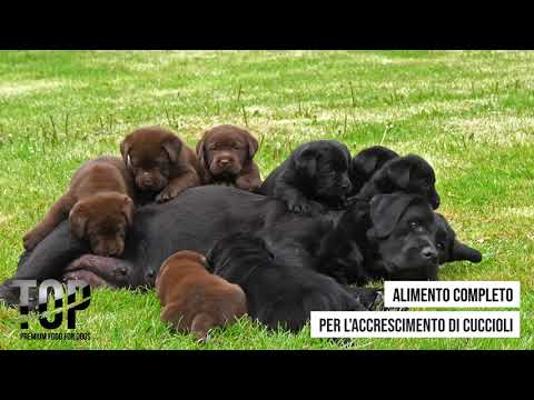 Carica video: