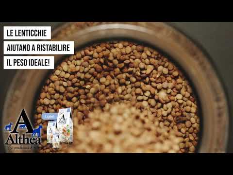 Carica video: