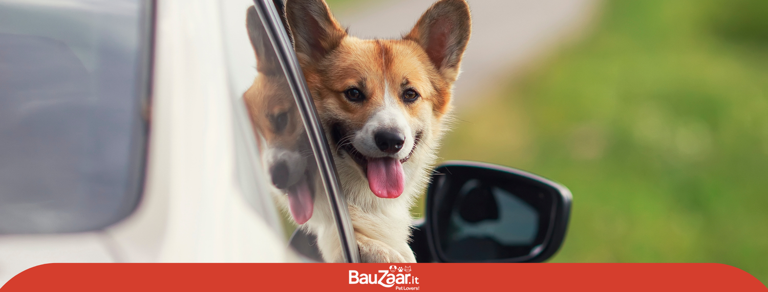 Viaggiare con il cane