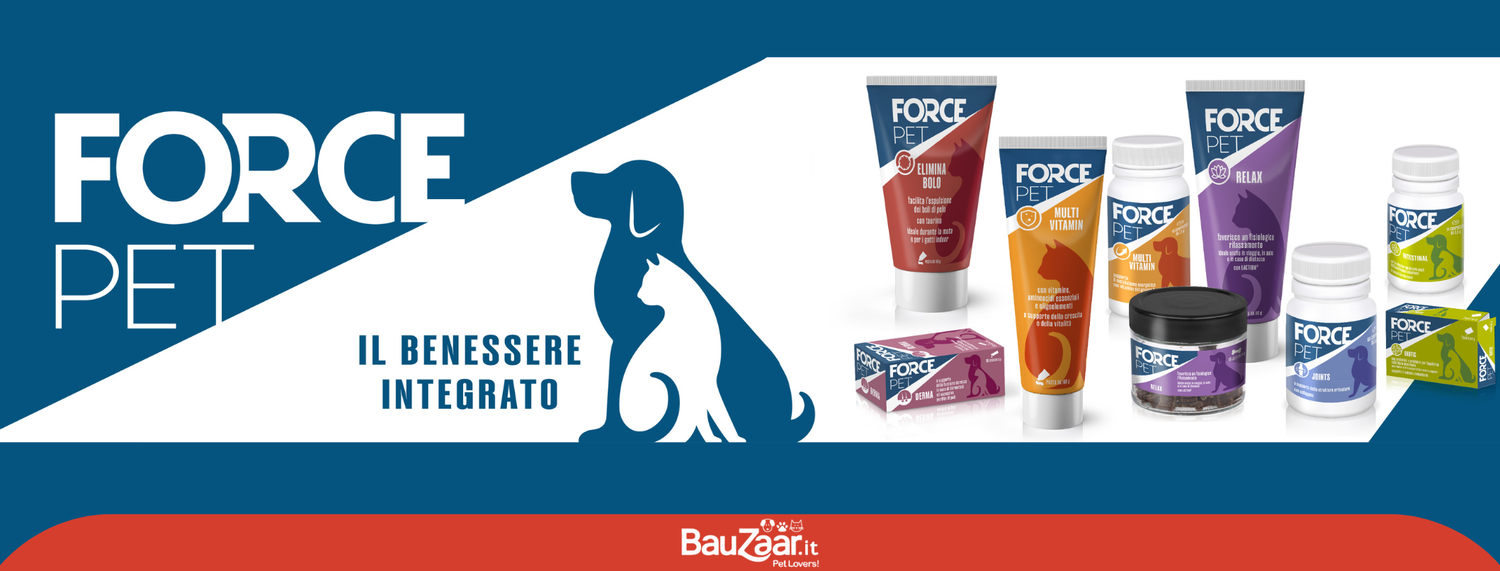 Integratori per cani, perchè sono utili all'alimentazione