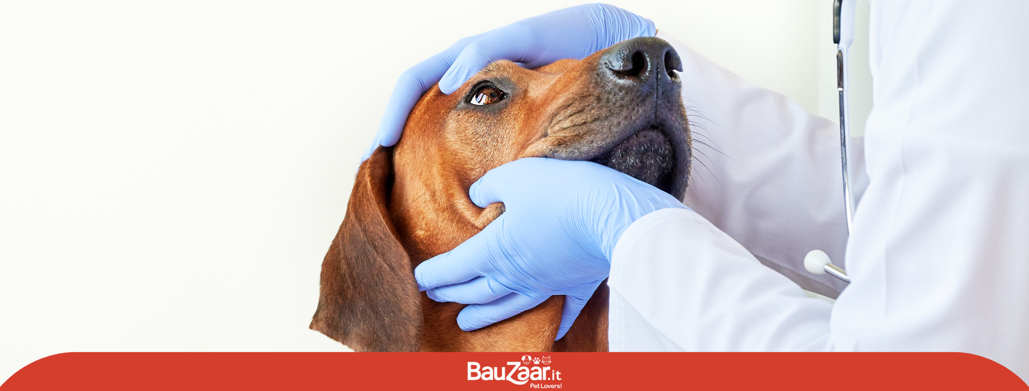 Detrazione spese veterinarie