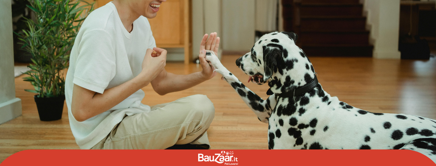 Giochi di attivazione mentale per cani