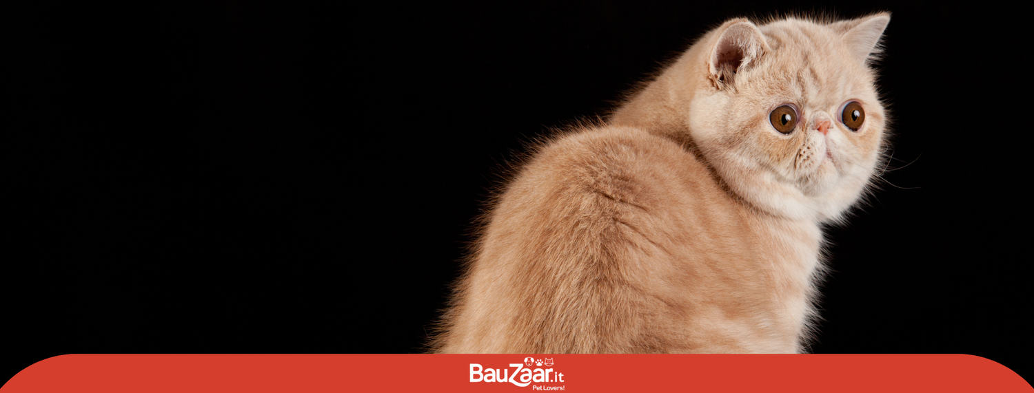 Garfield, gatto dispettoso