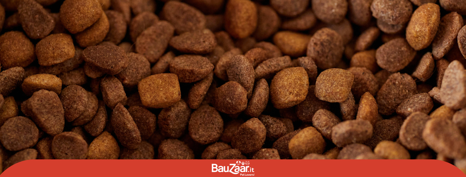 Alimenti per cani pressati a freddo