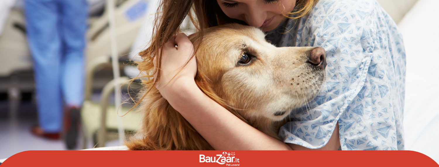 Visita ortopedica precoce e accertamenti preventivi nel cane