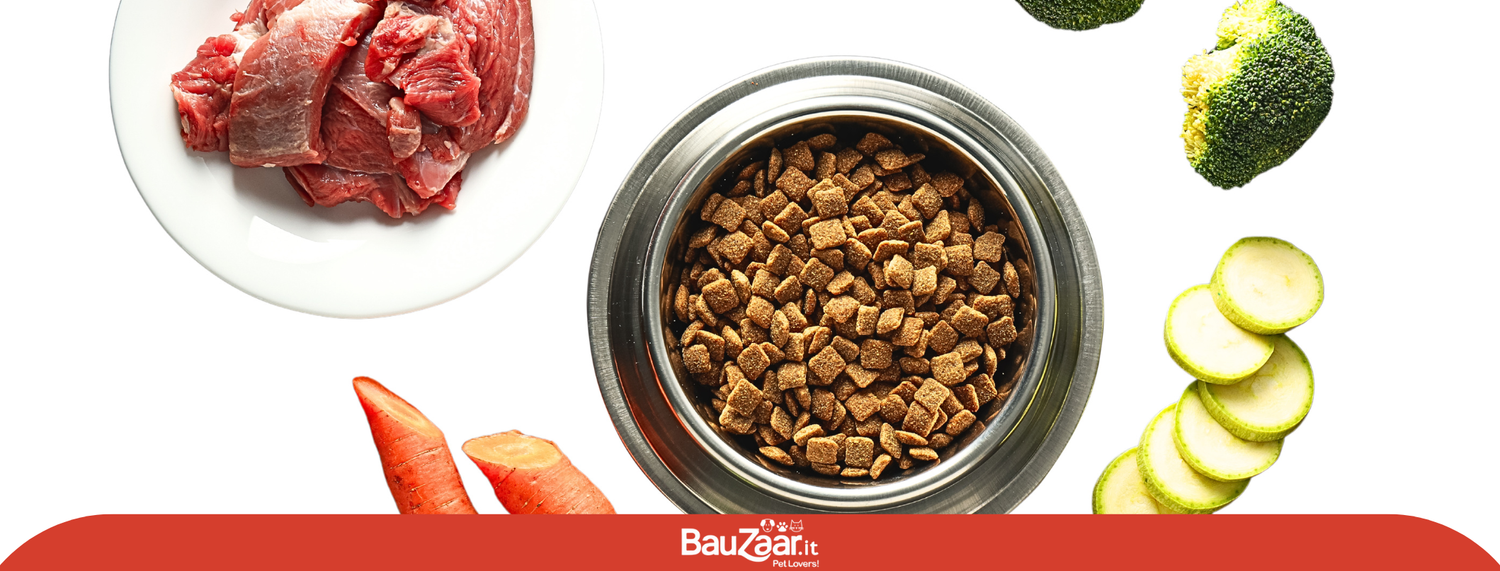 Crocchette ipoallergeniche per cani: cibo premium di alta qualità