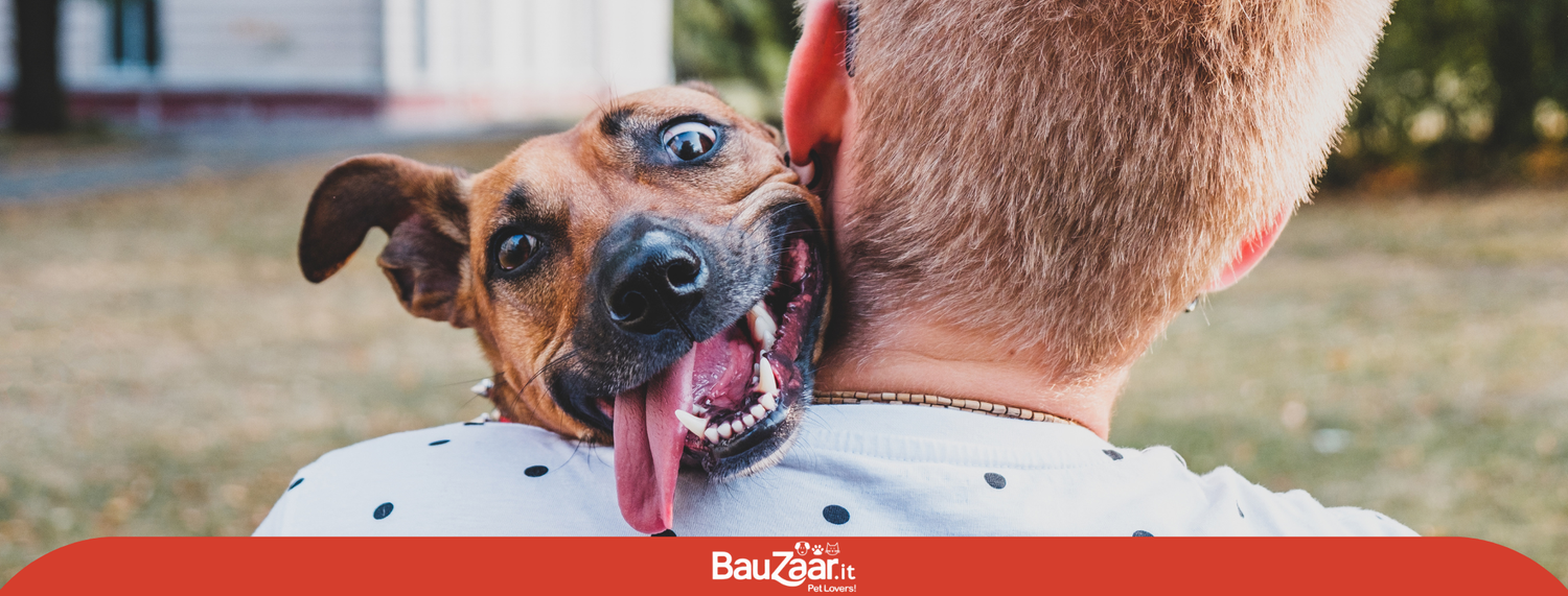 Adottare un cane dal canile