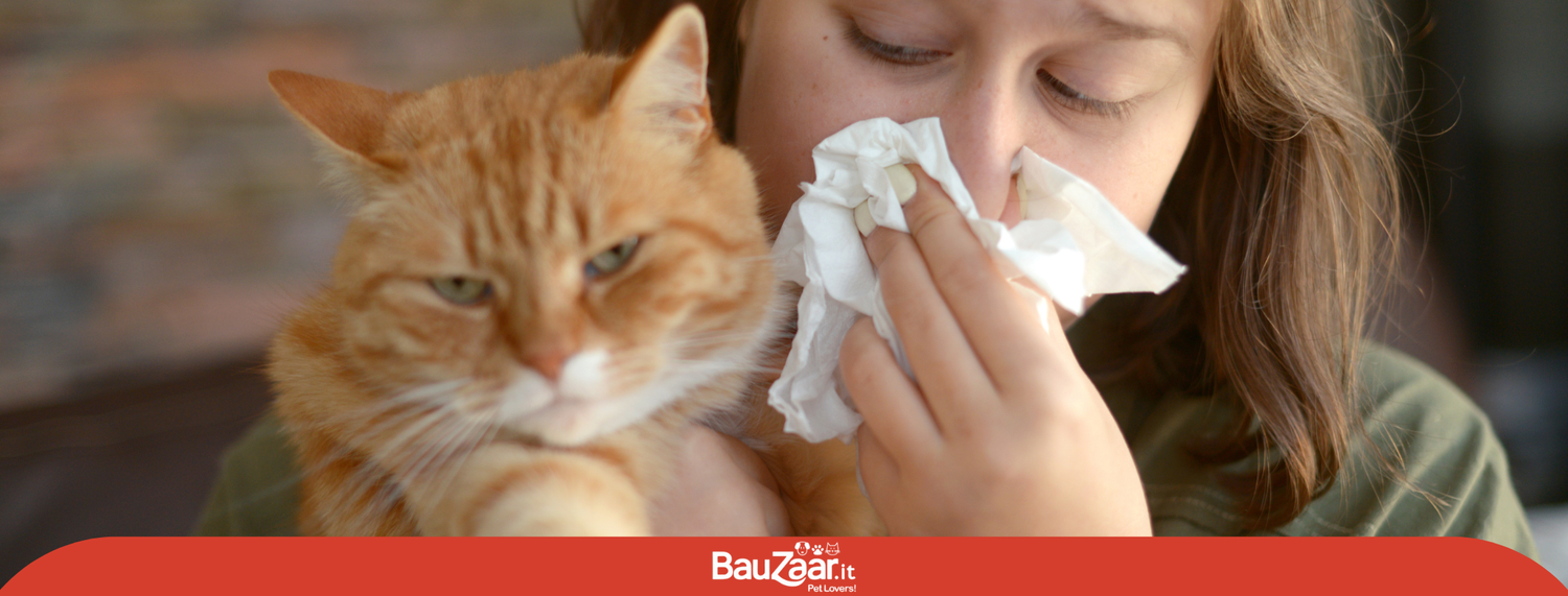 Cosa è l'allergia al gatto e come ridurla
