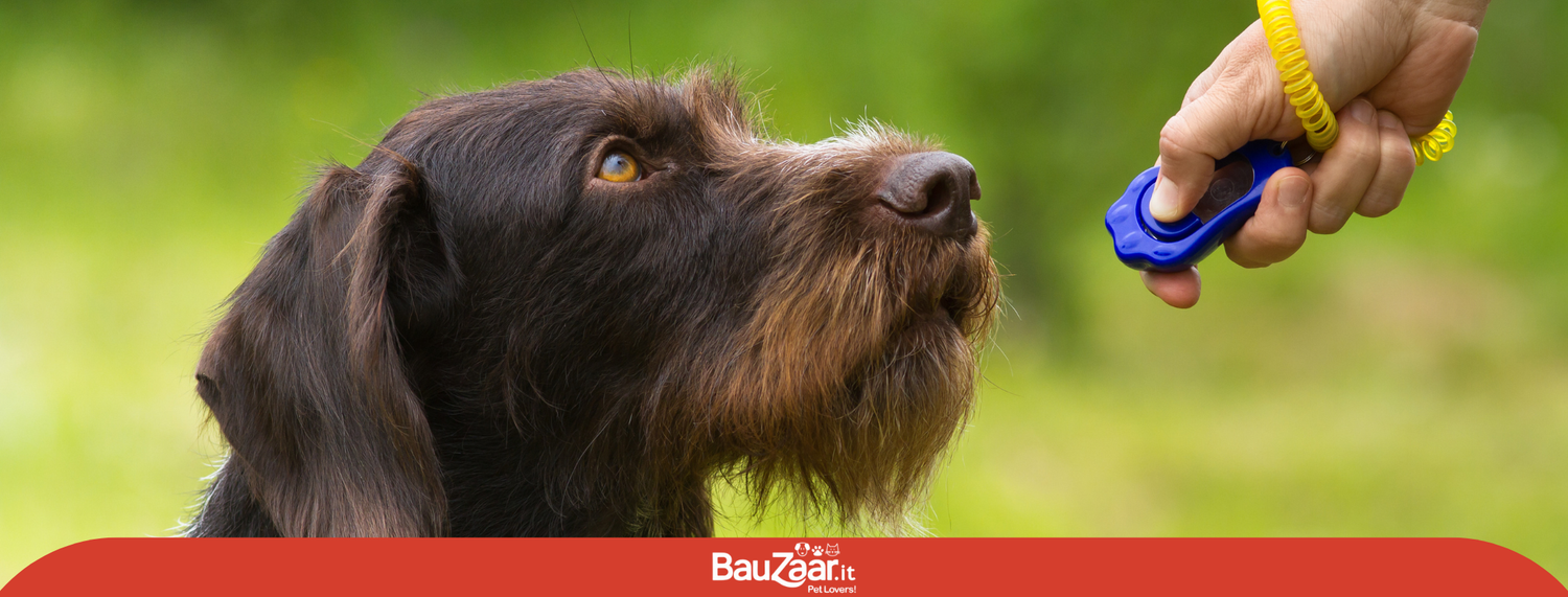 Addestramento del cane con il clicker