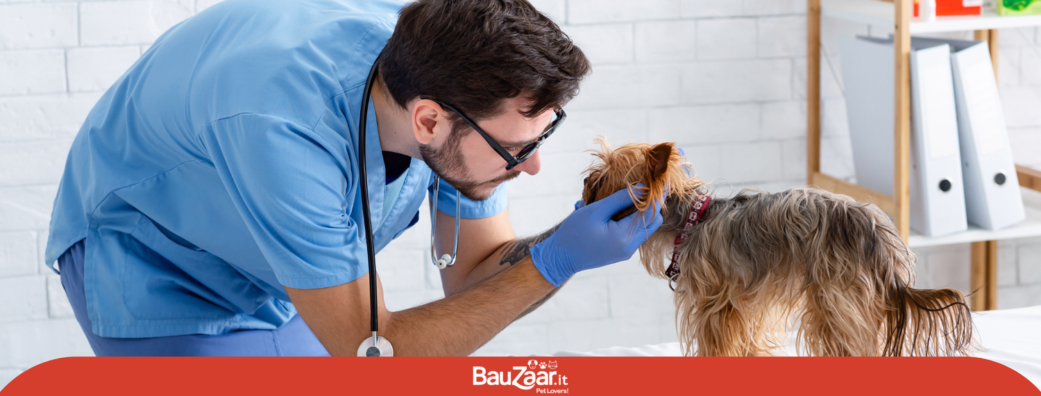 Veterinario comportamentalista