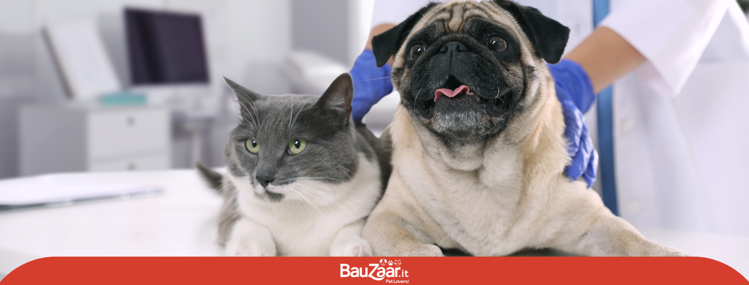 Sterilizzazione cane e gatto