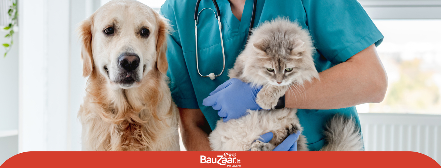 La Parvovirosi nel cane e nel gatto