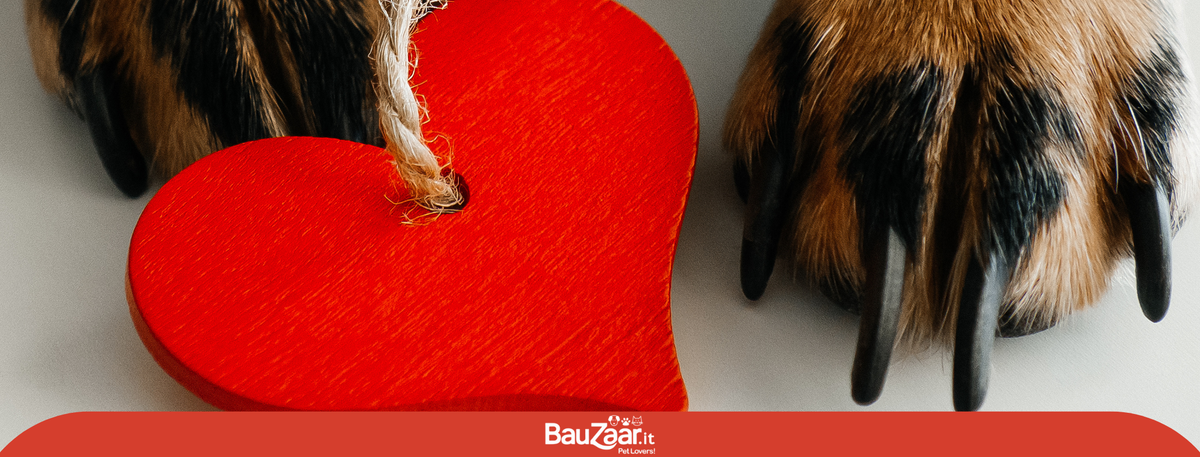 Il nostro amore per gli animali