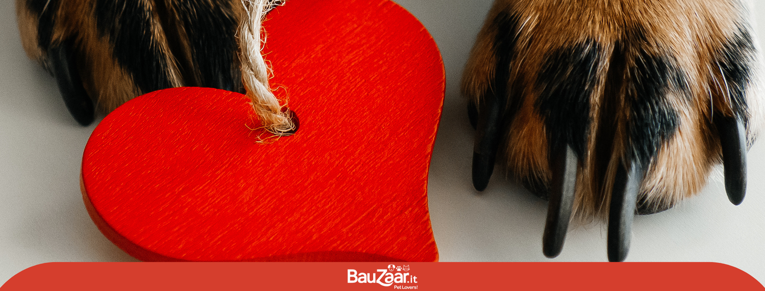 Il nostro amore per gli animali