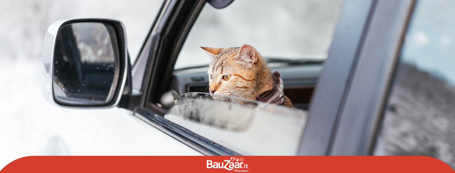 In viaggio con il cane e il gatto