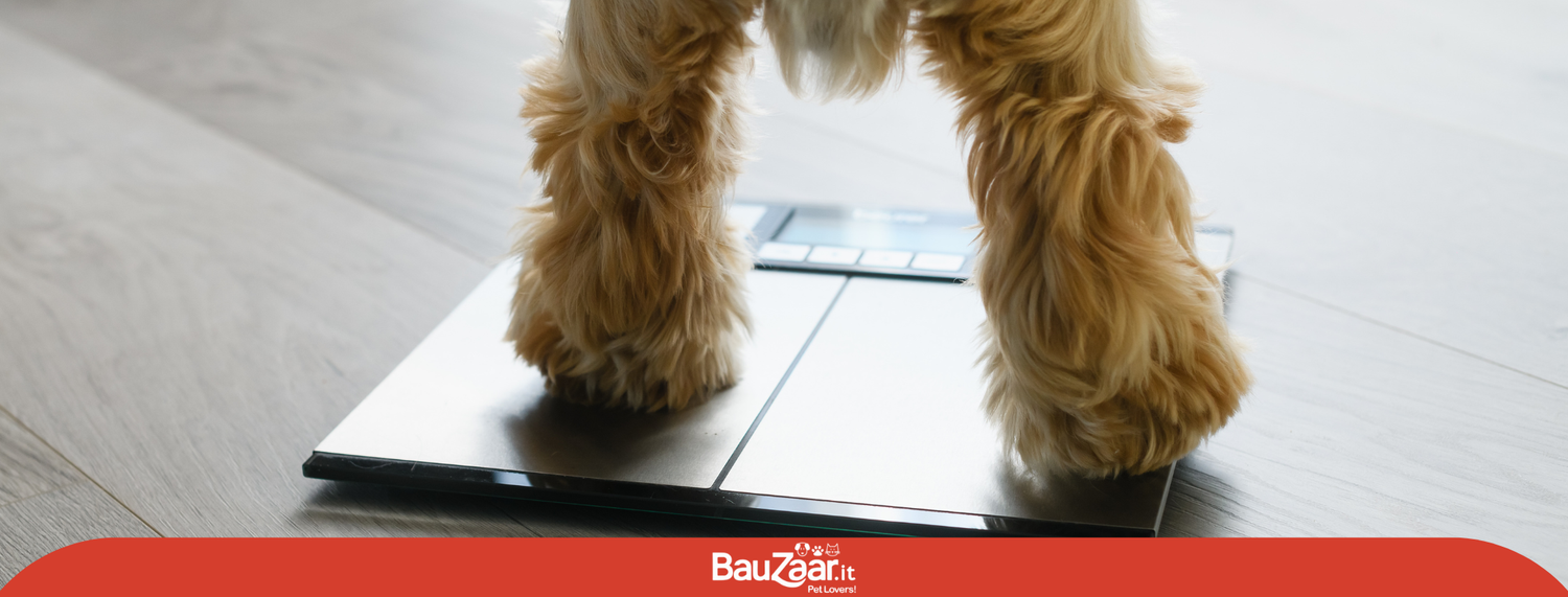 Il peso forma nel cane