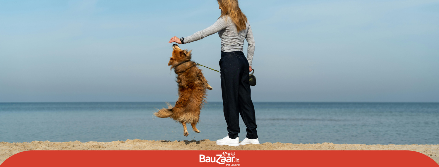 Cane e padrone: un legame di amore