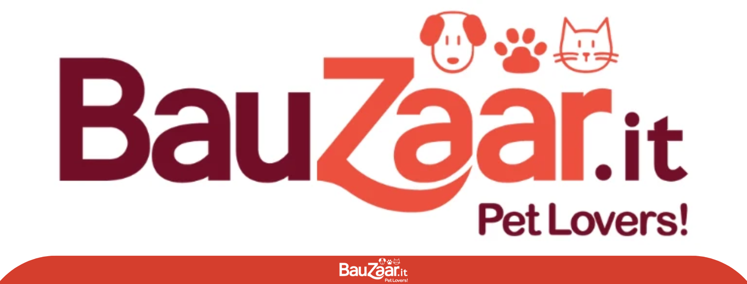 Arriva il nuovo Bauzaar