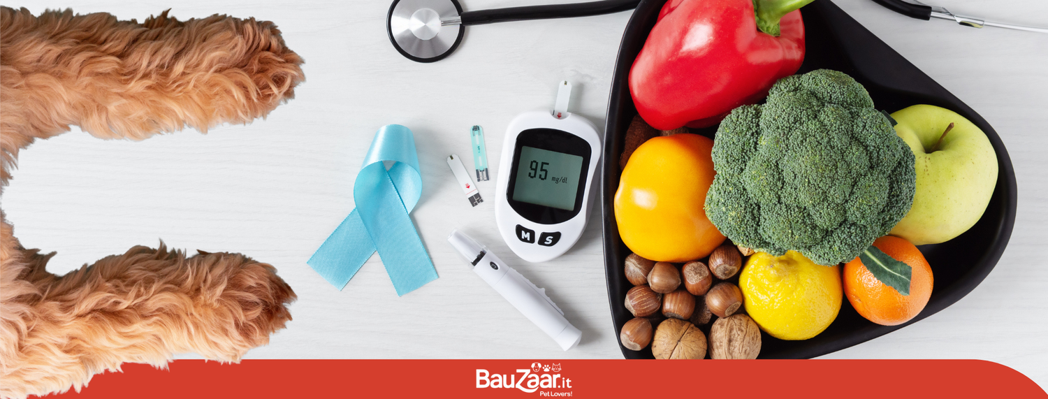 Diabete nel cane
