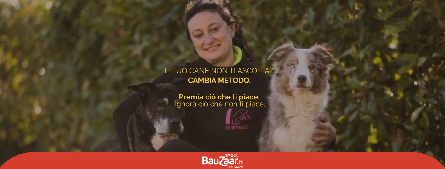 Addestramento del cane, guida completa per il suo benessere.