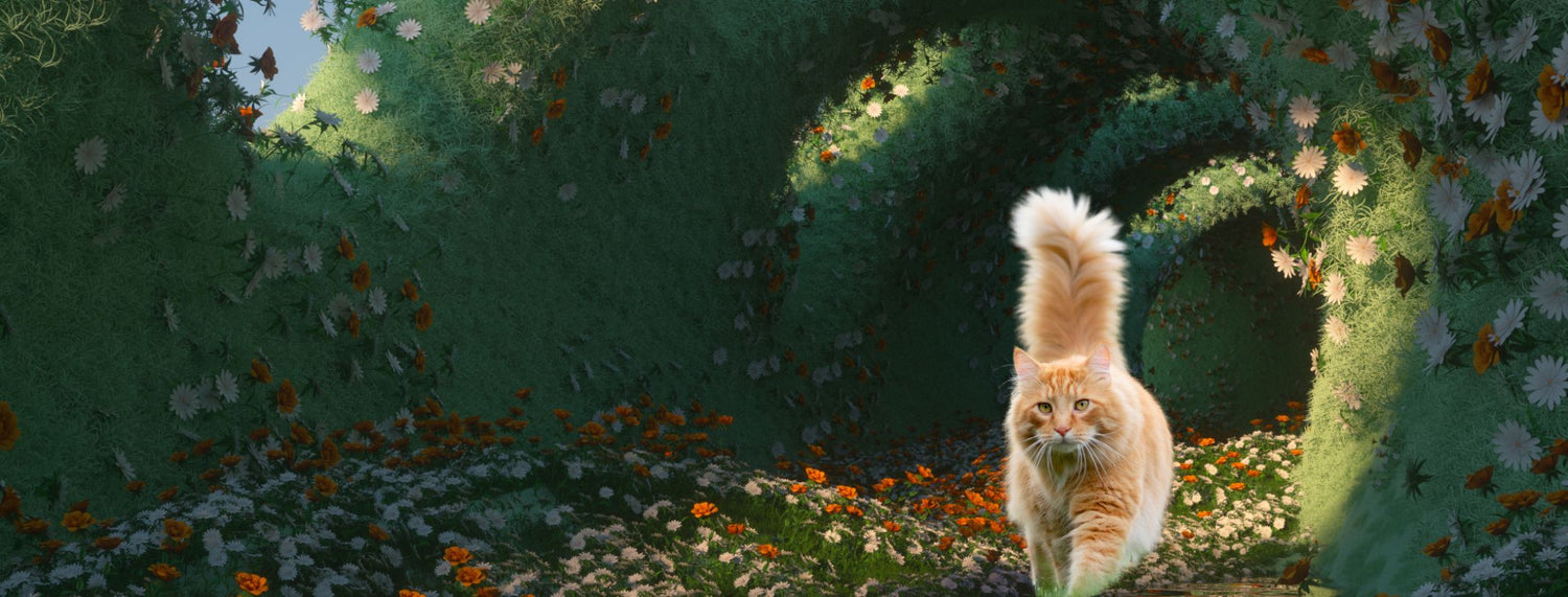 I gatti delle fiabe