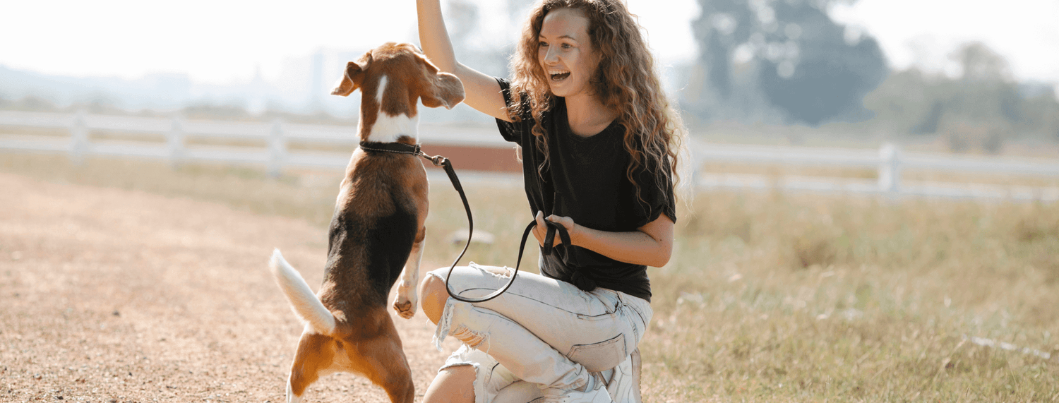 Addestramento del cucciolo: la guida per padroneggiare le basi per il tuo puppy