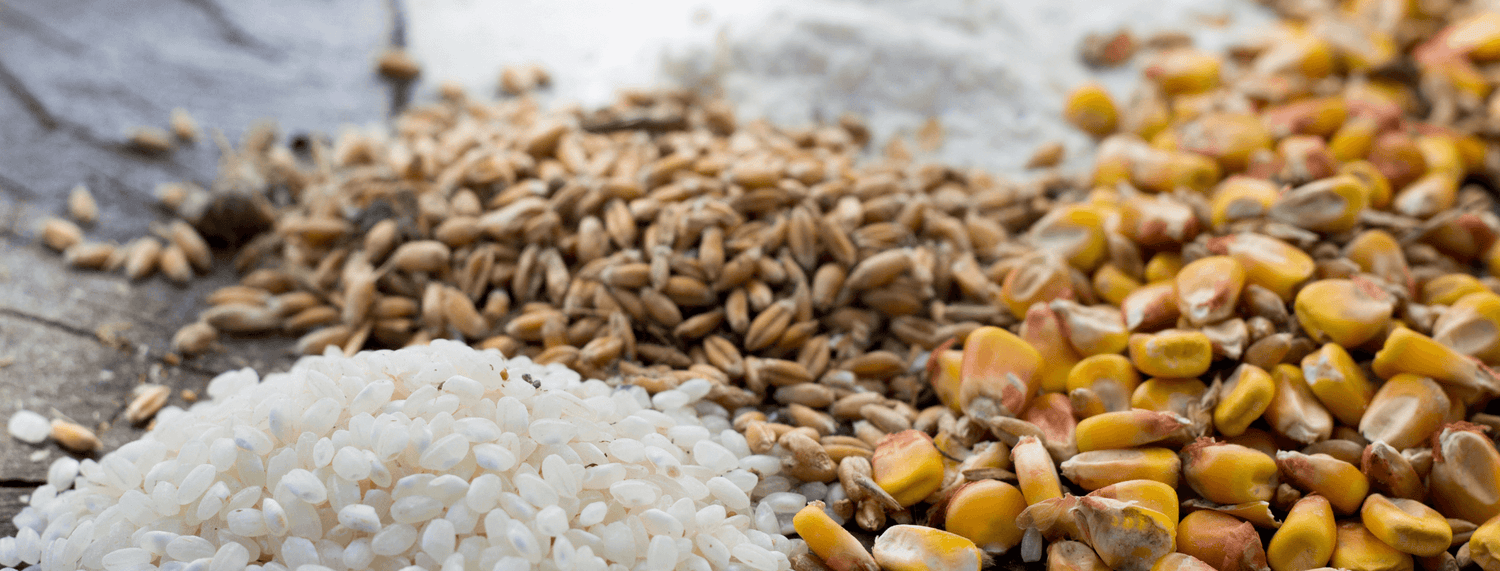 Crocchette grain free per cani e gatti: consigli per l'uso e benefici