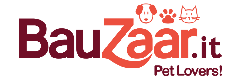 Arriva il nuovo Bauzaar