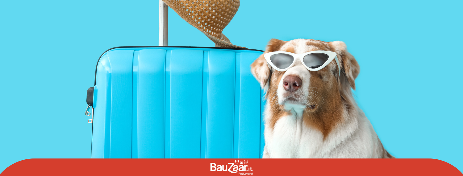 Viaggiare con i nostri pet