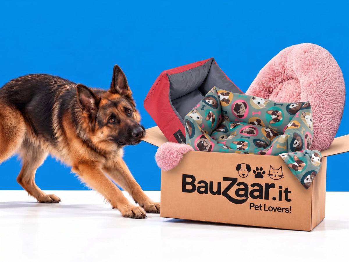 cucce per cani: scopri l'ampio assortimento disponibile sul pet store bauzaar.mom