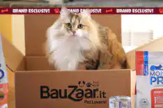 Brand esclusivi
