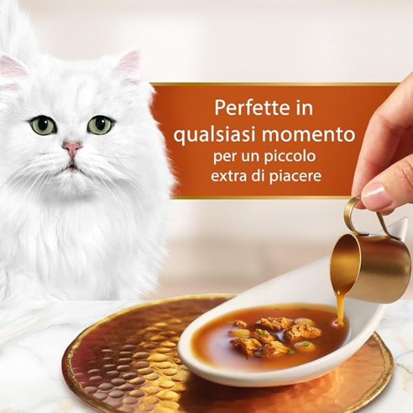 Purina Gourmet Soup Royale Filetti in brodo di cottura 45 gr