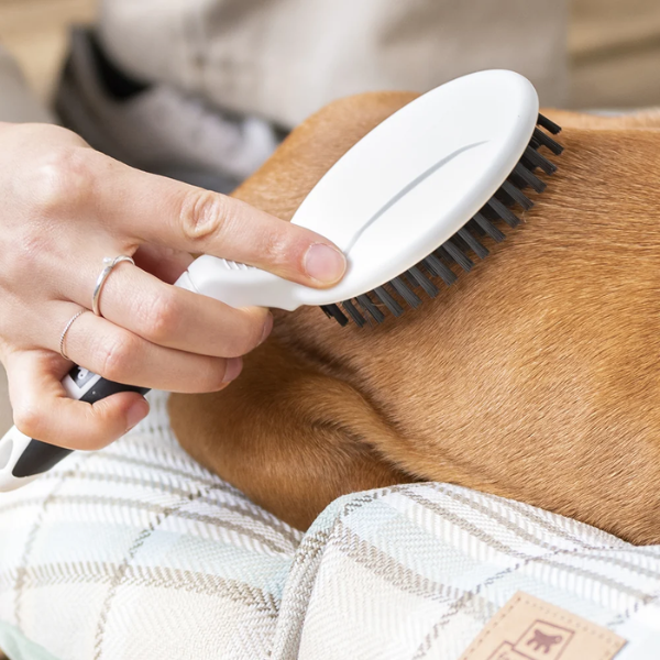 Spazzola per animali dal pelo corto, medio e lungo GRO Premium Ferplast