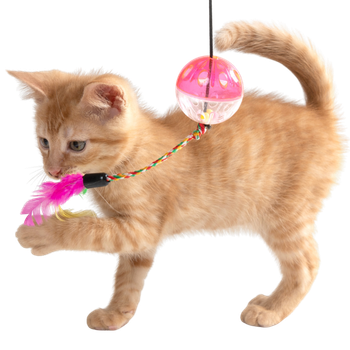 Giochi per gatti