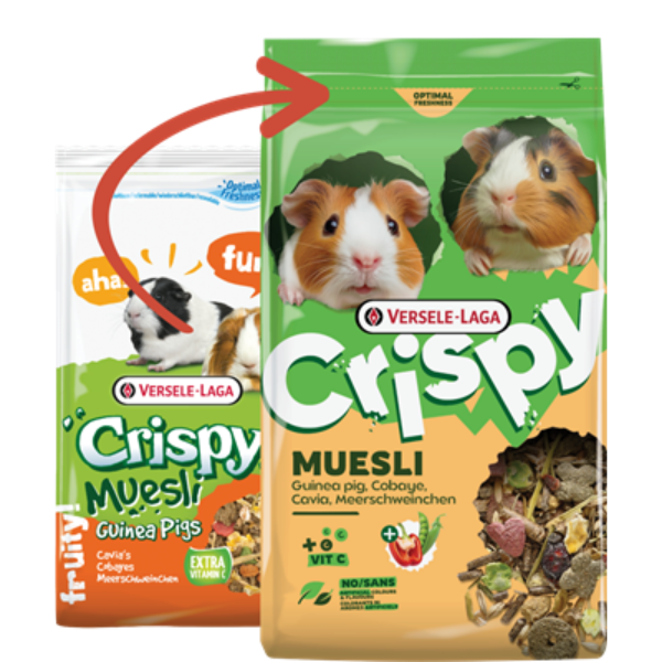 Versele Laga Crispy Muesli Guinea Pigs per porcellini d'india