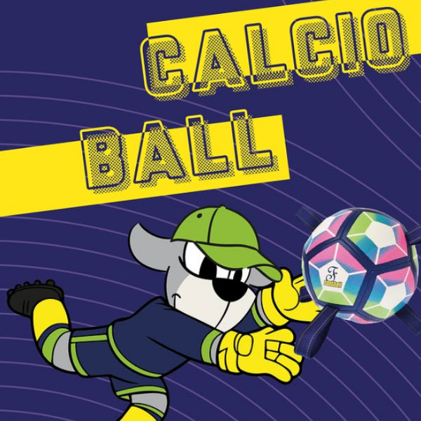 Palla da Calcio con maniglie per cani Calcioball Ferribiella
