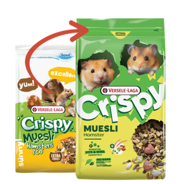Versele Laga Crispy Muesli Hamster per tutte le razze di criceti