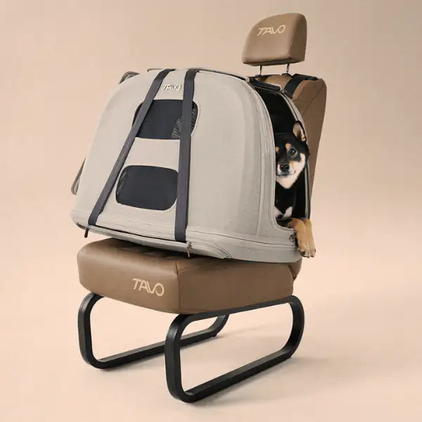 Trasportino da viaggio per animali domestici con sistema IsoFix integrato Crispin Tavo - Large - Grigio