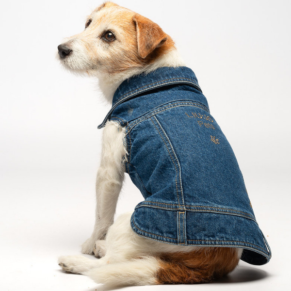 Giubbotto per cani Denim in jeans Liu Jo Pets