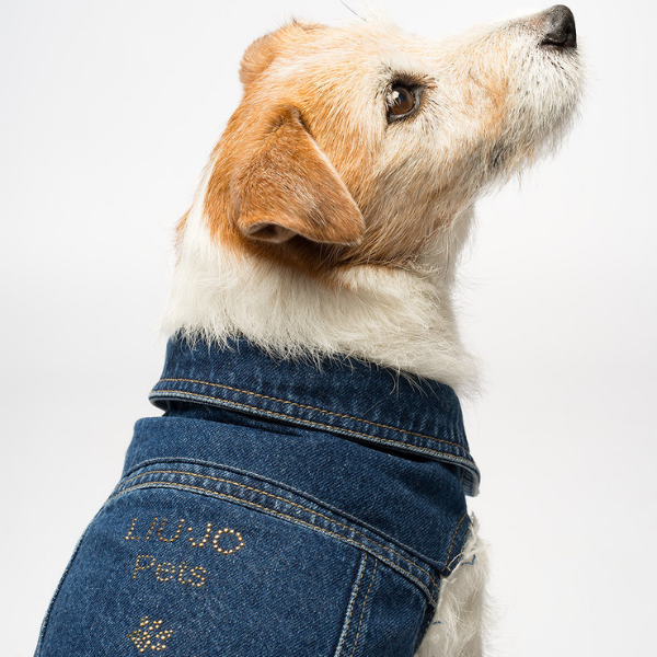 Giubbotto per cani Denim in jeans Liu Jo Pets
