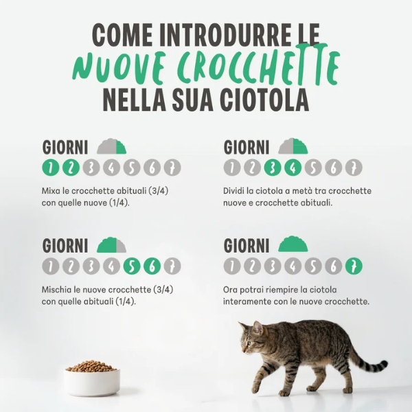 Schesir Animal Monoprotein formula Cat Adult con Pollo fresco