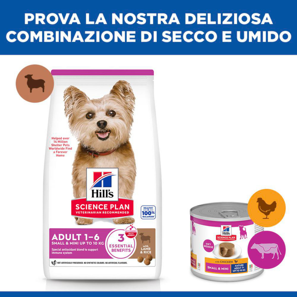 Hill's Science Plan Adult Small & Mini Breed alimento secco per cani con Agnello e riso