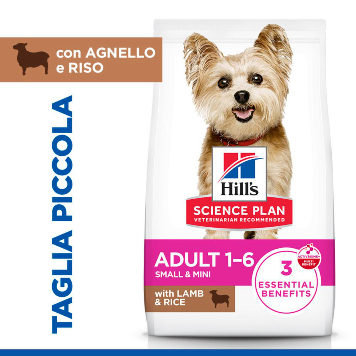 Hill's Science Plan Adult Small & Mini Breed alimento secco per cani con Agnello e riso