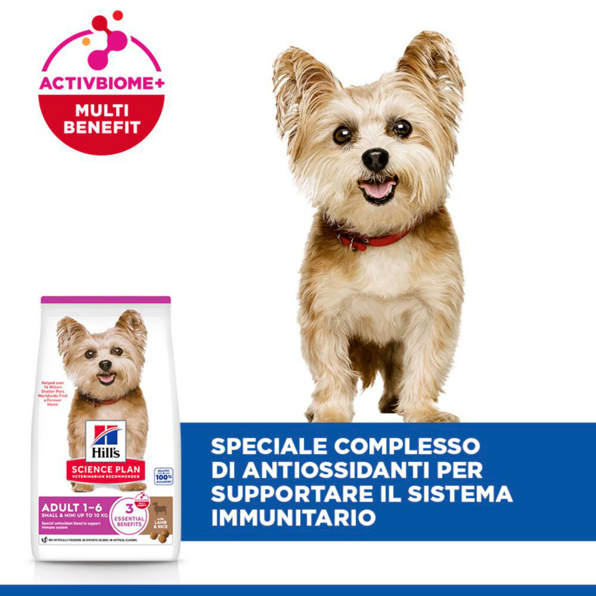 Hill's Science Plan Adult Small & Mini Breed alimento secco per cani con Agnello e riso
