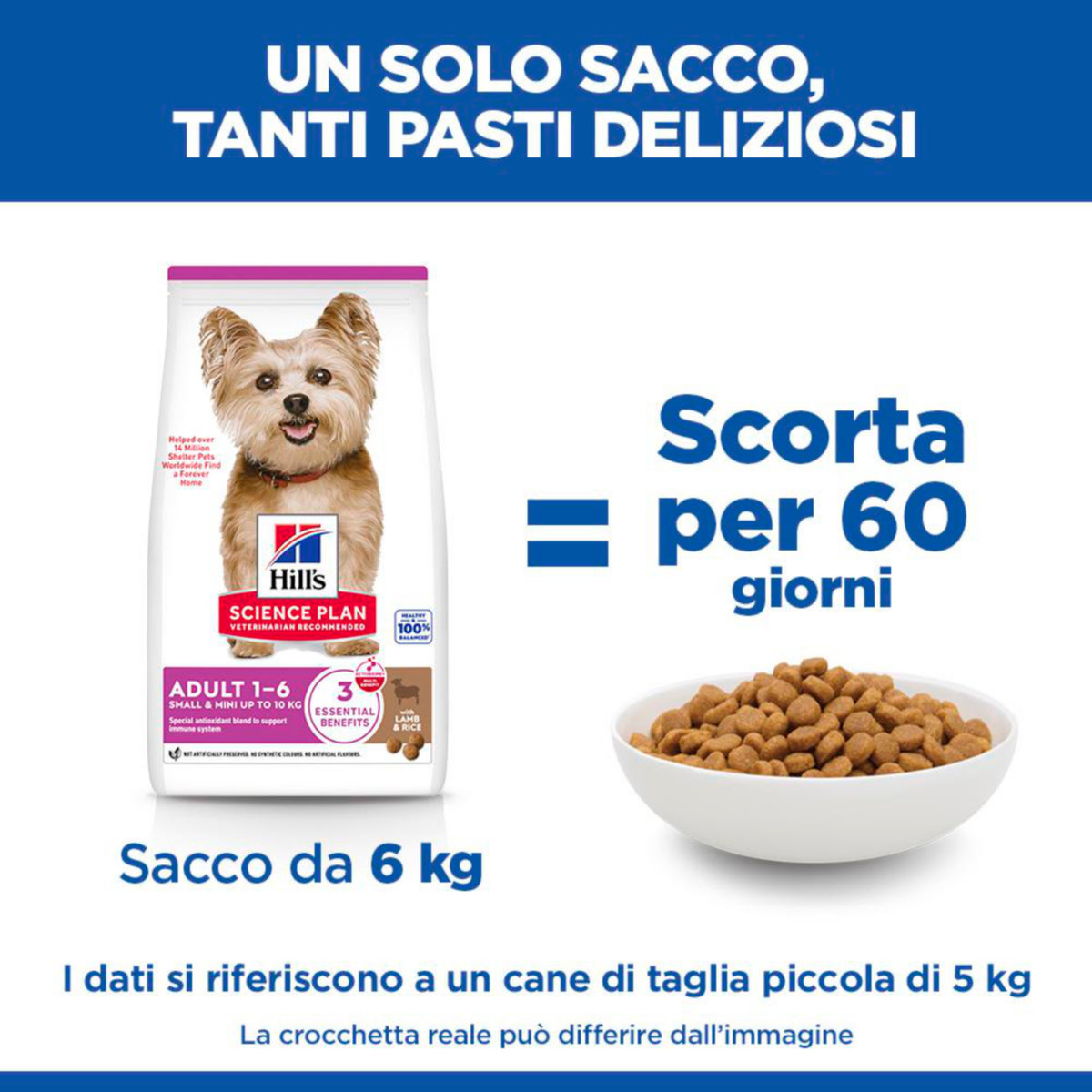 Hill's Science Plan Adult Small & Mini Breed alimento secco per cani con Agnello e riso