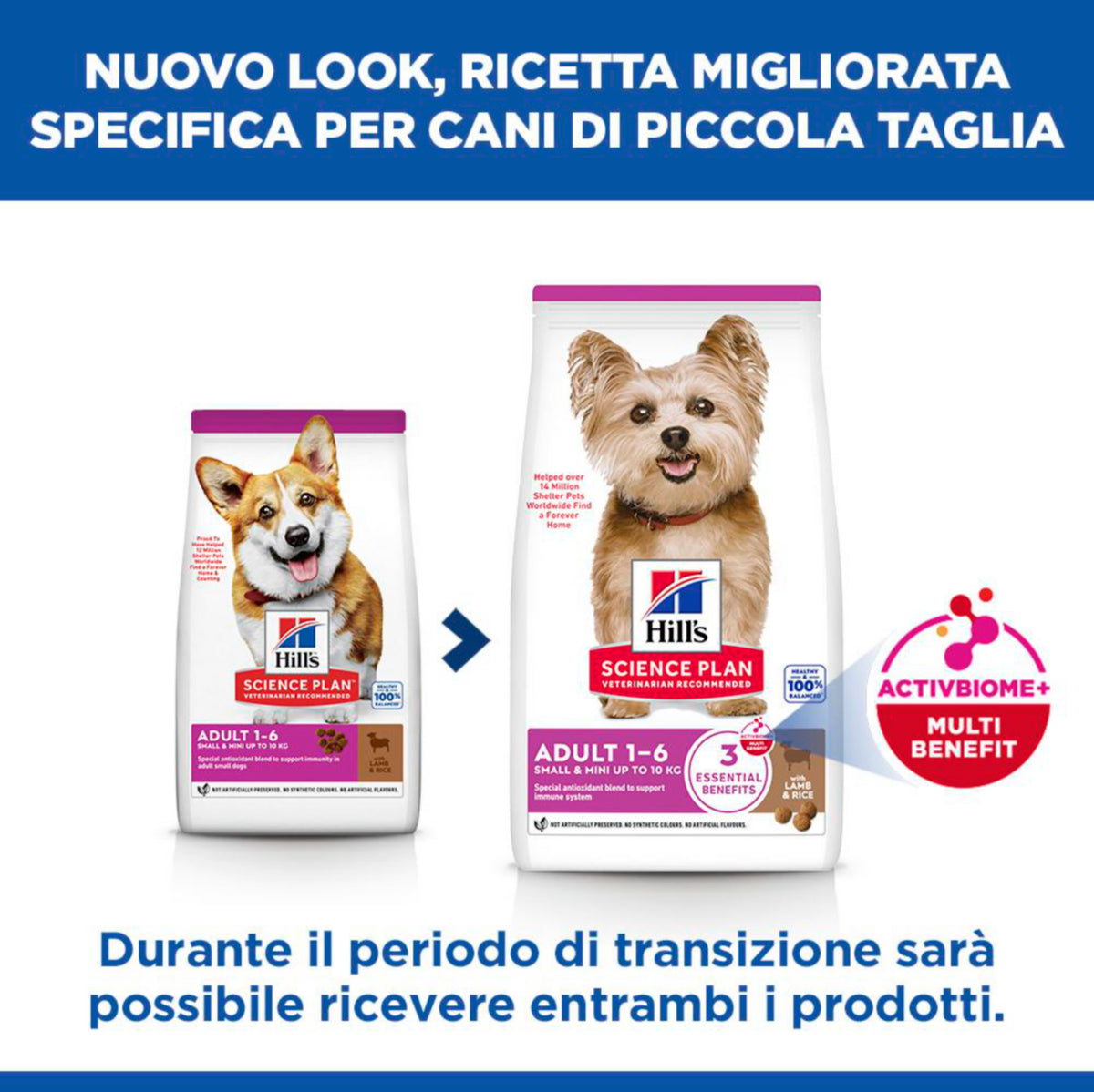 Hill's Science Plan Adult Small & Mini Breed alimento secco per cani con Agnello e riso