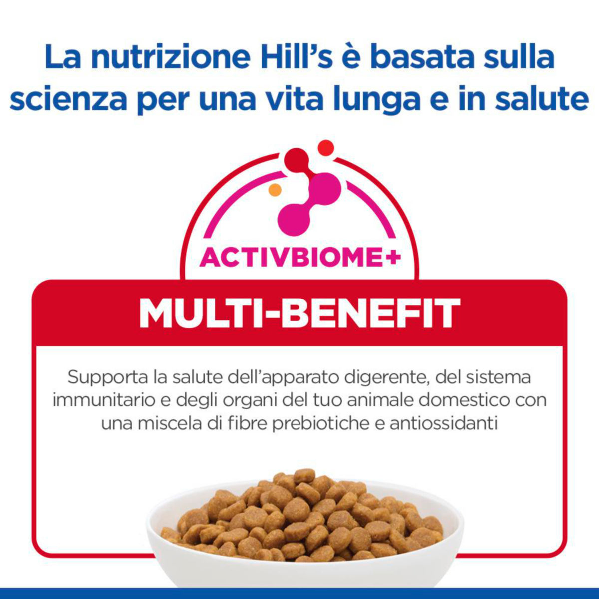 Hill's Science Plan Adult Small & Mini Breed alimento secco per cani con Agnello e riso