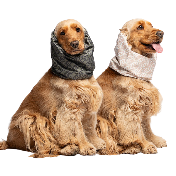 Paraorecchie-collo traspirante per cani dalle orecchie lunghe Monogram Liu Jo Pets