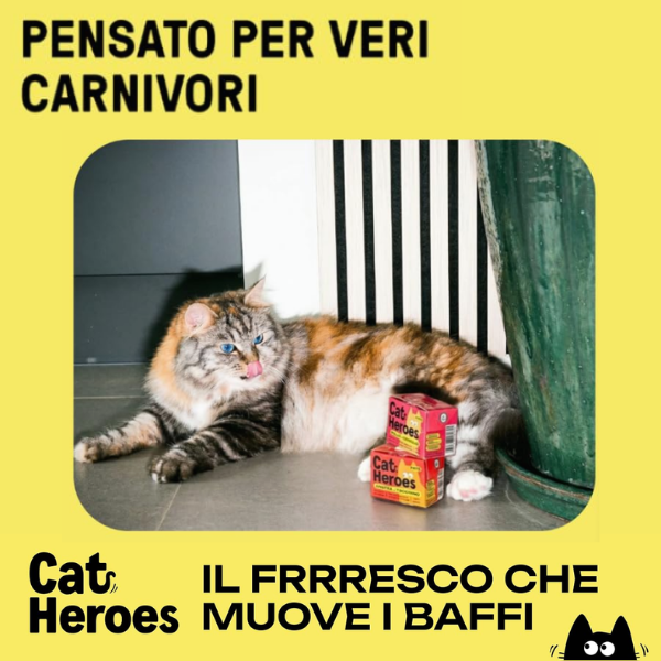 Cat Heroes Adult Patè Grain free cibo fresco da dispensa 95 gr